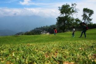 青青草国产线观